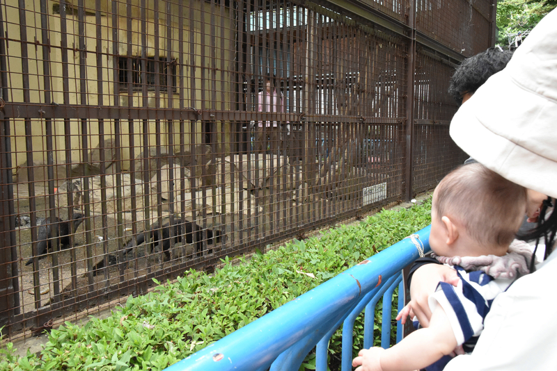 動物園イベントで楽しむ！家族や友達と繋がる瞬間