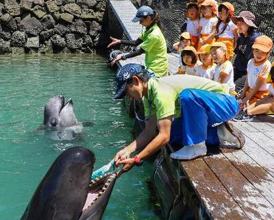 太地の博物館でクジラの歯磨き 洗車ブラシ使い健康PR｜信濃毎日新聞