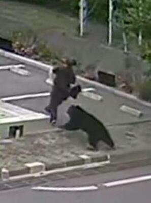 クマ襲撃の十数秒、一部始終記録 被害男性を執拗に追走、福島｜信濃