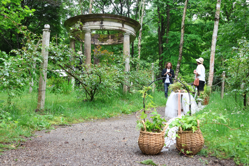 茅野市のフラワーショーで自然の美を満喫しよう