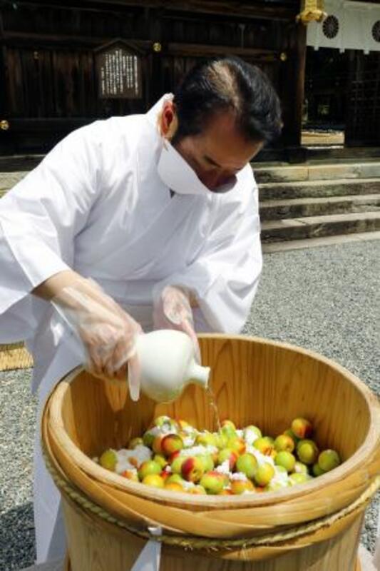 梅の日」に産地の発展祈る式典 和歌山・田辺市の熊野本宮大社｜信濃