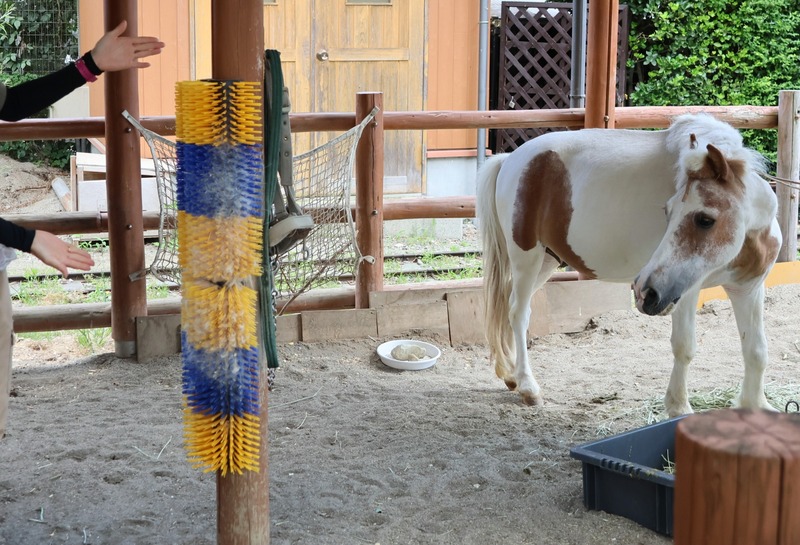飯田市動物園がアマゾンで動物の「ほしい物リスト」公開