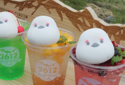ふっくら｢雷鳥マシュマロ｣誕生 中央アルプスのカフェ、ドリンクに