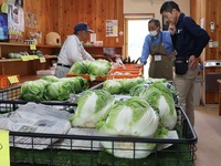 新鮮な野菜が安価で売られている直売所。店員と客の会話も弾む