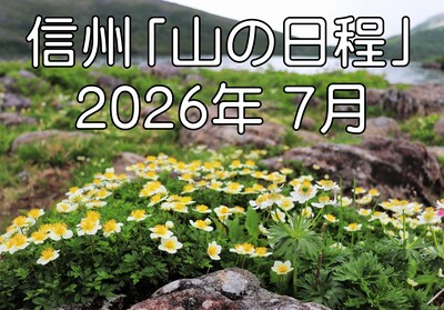 桜吹雪がひらひら 淡いピンク色に染まる飯山城址公園｜信濃毎日新聞