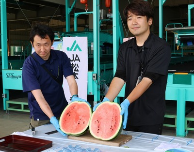 信濃路 甘くて良い出来栄え」 松本市で露地栽培のスイカの出荷が始まる｜信濃