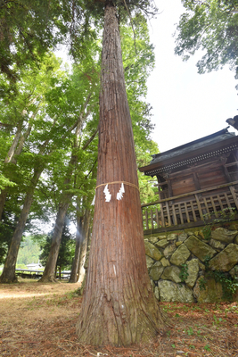 春の叙勲・旭日双光章 高橋貞夫さん（元現代工芸美術家協会長野会長