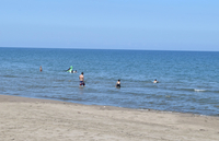 新潟県上越市のなおえつ海水浴場（資料写真）
