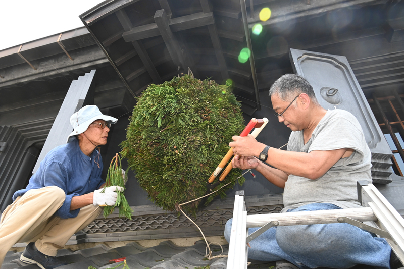 杉玉　約20センチ屋根付き‼️お客様ご注文品♪ 造り酒屋だった名残、今も 松本市の「中町・蔵シック館」で杉玉新調