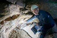 　洞窟内に残る波食痕を指す杉山浩平・東京大特任研究員＝2026年6月、神奈川県三浦市
