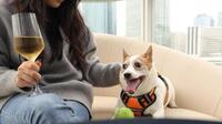 　香港のレストランで愛犬とくつろぐ女性＝7月27日