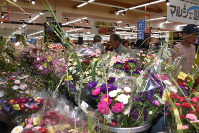ご先祖さまが喜んでくれる」 色とりどりの盆花、上田市の直売所で販売