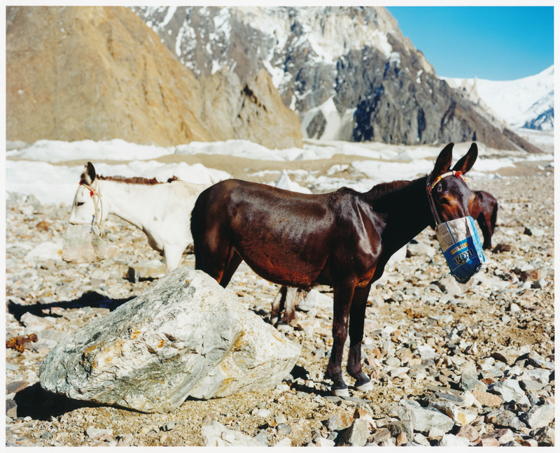 8000㍍峰全14座の山、人、動物、暮らし、対等に 写真家石川直樹