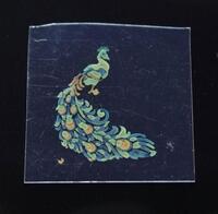 　新開発のインクを使い、透明なフィルムにインクジェット印刷されたクジャクの絵（杉本泰・神戸大准教授提供）
