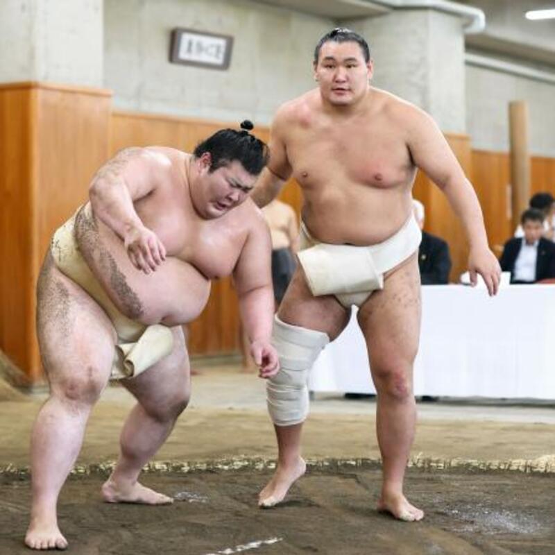 いちごです。豊昇龍 豊昇龍の出場可否、11日に判断 師匠「完璧な状態にしないと」｜信濃