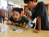 蜂蜜の味を確かめる中川東小の児童＝9日午前10時37分、中川村