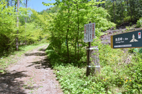 木祖村側から鳥居峠に続く道（資料写真）