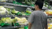 　上海にあるスーパーの野菜売り場に並ぶ白菜＝9月4日