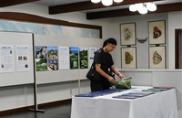 田淵行男が描いたチョウの細密画（右奥）などが並ぶ企画展