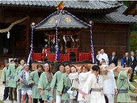坂城神社の境内を巡行する「伝説の黒みこし」