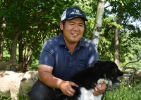 牧羊犬と羊を見守る大井晃希さん