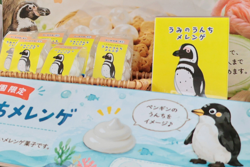 人気のペンギンを題材に開発「うみのうんちメレンゲ」 長野市城山