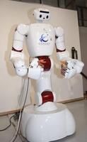 　早稲田大などがこれまでに開発した人型ロボット