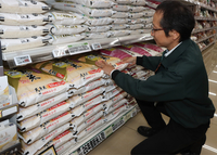 県産の新米をA・コープファーマーズ南長野店の商品棚に並べる長野県A・コープの社員＝29日、長野市篠ノ井杵淵