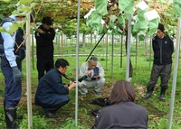 駆除した熊の体長などを調べる中野署員ら＝29日午前11時40分ごろ、中野市金井