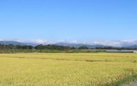 佐久市桜井地区（資料写真・2024年9月撮影）