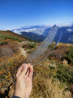 中央アルプス西駒山荘で確認された初氷＝3日午前9時30分（宮下拓也さん撮影）