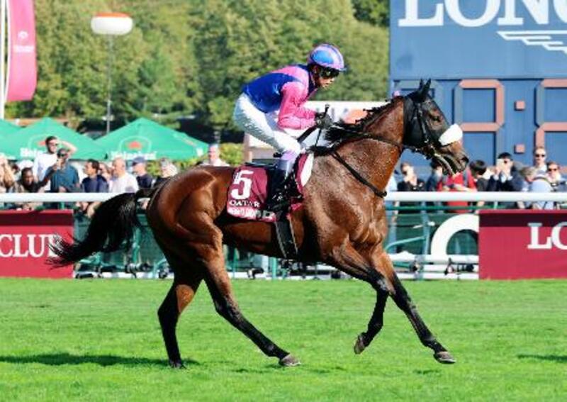凱旋門賞、日本勢は初制覇ならず フランス競馬｜信濃毎日新聞デジタル