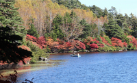 紅葉が見頃を迎えた白駒の池