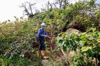　見附島に上陸し、植物について説明する石川県立大の柳井清治特任教授＝2026年9月、石川県珠洲市