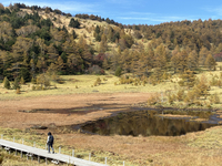 草紅葉が楽しめる鏡池の周辺