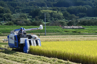 優良農地が広がる飯山市蓮。奥の千曲川の堤防では遊水地整備に向けた工事が進む