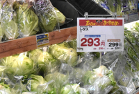 日照不足の影響で値上げが続く野菜の売り場。レタスは1玉300円近くにもなっている＝6日、須坂市高梨