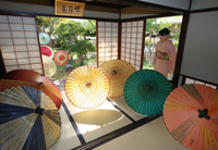 茶室「曙月庵」に飾られた色とりどりの阿島傘
