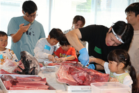 中村さんに教わりながら、マグロの骨の周りに付いた「中落ち」を削り取る子どもたち