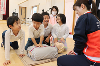 胸骨圧迫を練習する園児たち