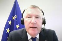 　オンライン取材に応じるEUのマクグラス欧州委員＝20日（共同）